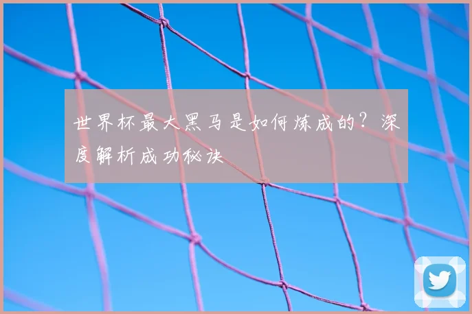 世界杯最大黑马是如何炼成的？深度解析成功秘诀