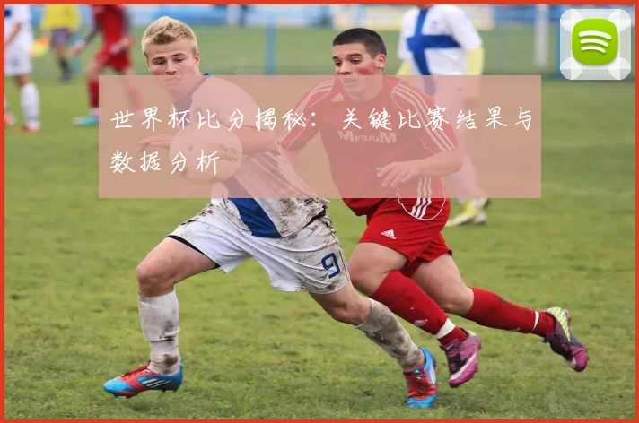 世界杯比分揭秘：关键比赛结果与数据分析