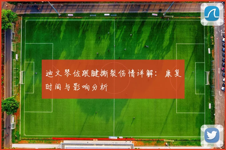 迪文琴佐跟腱撕裂伤情详解：康复时间与影响分析