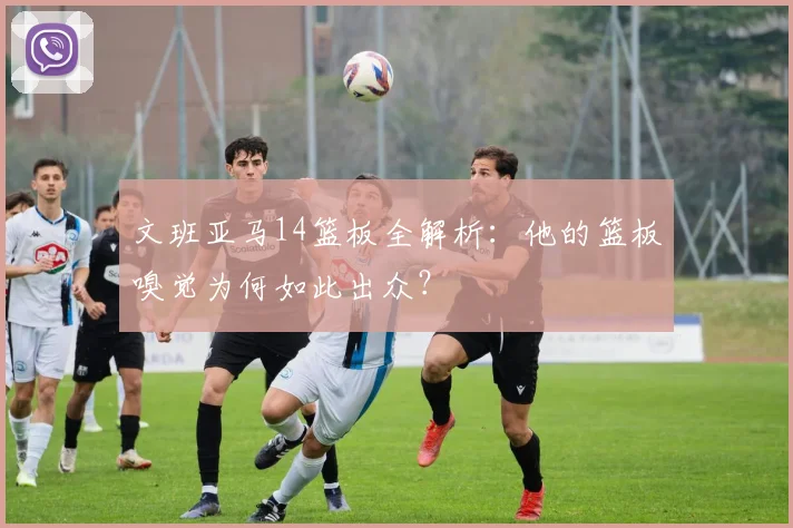 文班亚马14篮板全解析：他的篮板嗅觉为何如此出众？